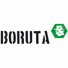Węgiel BORUTA