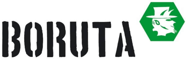 Węgiel BORUTA