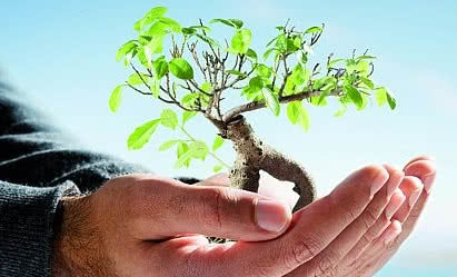 Międzynarodowe Targi "RENEXPO 2010"