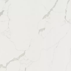 Wodoodporna płyta ścienna Statuario R101 PT