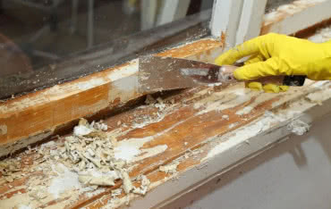 Czy warto wymienić okna na nowe?