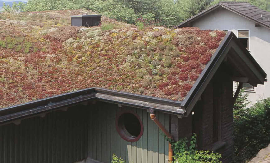 Dach zielony: czy to dobry wybór dla każdego?