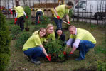 Pracownicy huty GUARDIAN Częstochowa podczas akcji sadzenia drzew i krzewów - Światowy Dzień Ziemi 2012