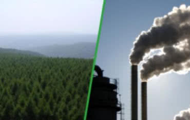 Program „Ograniczenia Niskiej Emisji” (PONE)