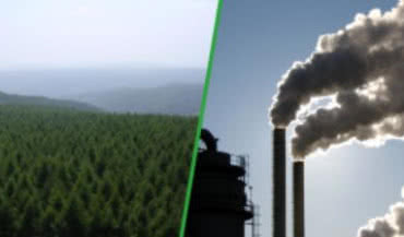 Program „Ograniczenia Niskiej Emisji” (PONE)