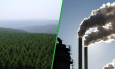 Program „Ograniczenia Niskiej Emisji” (PONE)