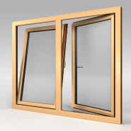 Okno MS evolution [82]