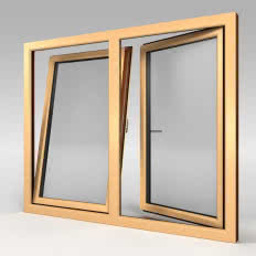 Okno MS evolution [82]