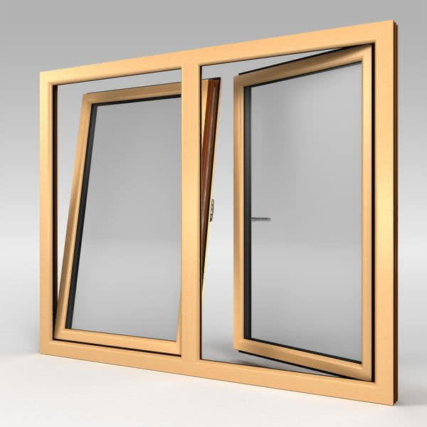 Okno MS evolution [82]