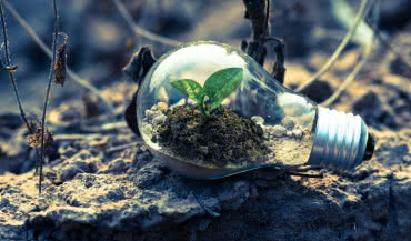 Jak łatwo oszczędzać energię elektryczną?