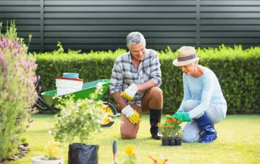 Ogrodzenie bez prześwitów - Valor zapewni komfort i prywatność