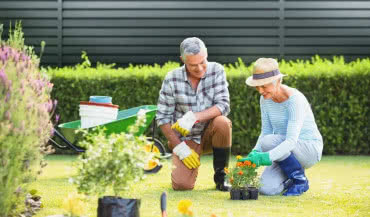 Ogrodzenie bez prześwitów - Valor zapewni komfort i prywatność