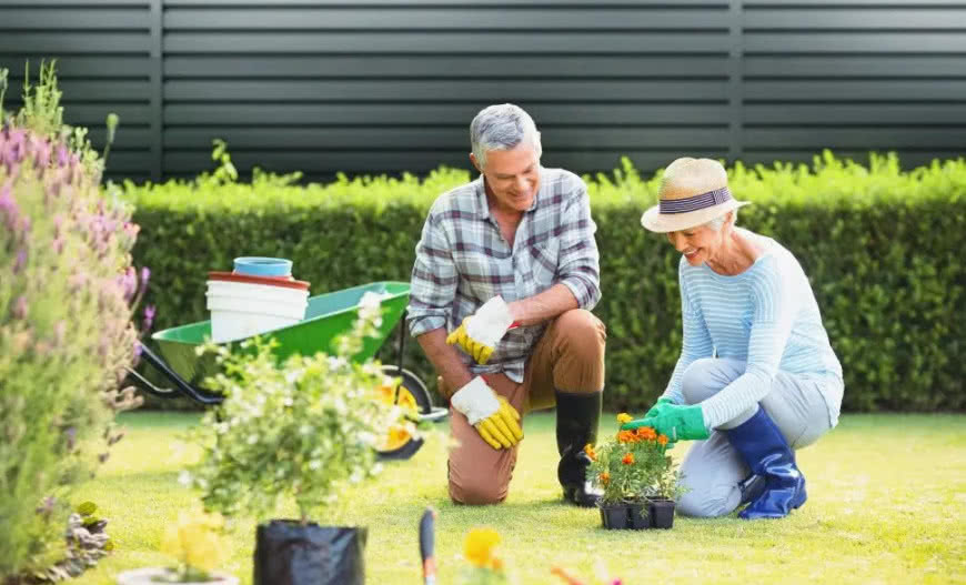 Ogrodzenie bez prześwitów - Valor zapewni komfort i prywatność