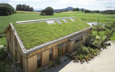 Dachy zielone - jak je stworzyć i pielęgnować?