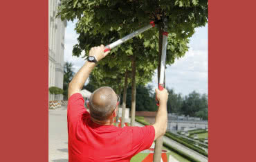 Poręczne nożyce do cięcia gałęzi PROLINE