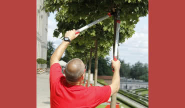 Poręczne nożyce do cięcia gałęzi PROLINE
