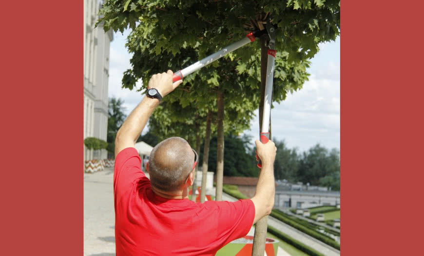 Poręczne nożyce do cięcia gałęzi PROLINE
