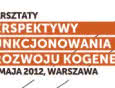 Warsztaty "Perspektywy funkcjonowania i rozwoju kogeneracji"