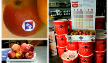 ATLAS podsumowuje "Akcję Jabłko"