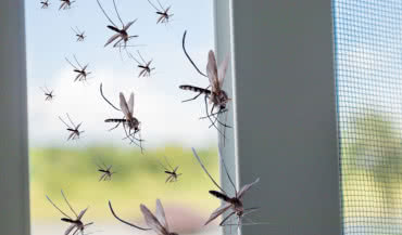 Wentylacja mechaniczna - chroni przed kurzem i owadami