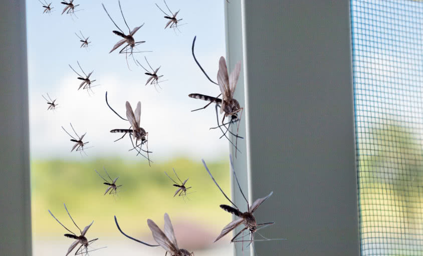Wentylacja mechaniczna - chroni przed kurzem i owadami