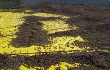 Zielony dach z izolacją termiczną z keramzytu