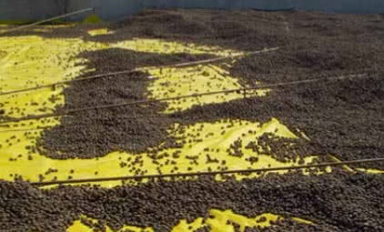 Zielony dach z izolacją termiczną z keramzytu