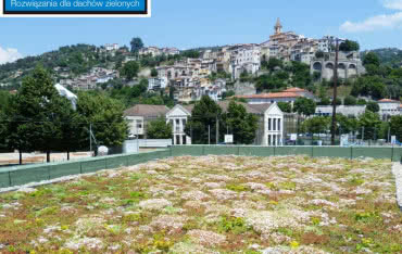 Jednowarstwowy dach zielony Sopranature® w ofercie SOPREMA Polska