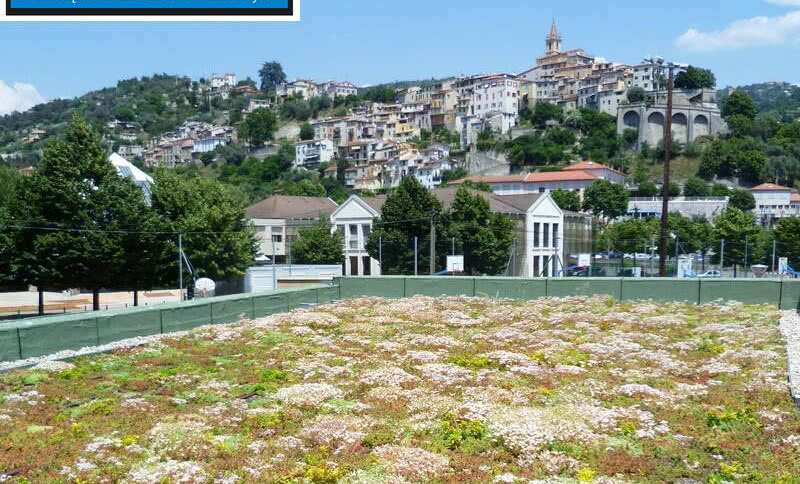 Jednowarstwowy dach zielony Sopranature® w ofercie SOPREMA Polska