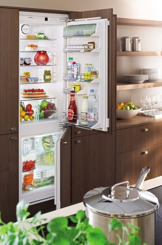 Chłodziarko-zamrażarka ICBN 30660 Premium Plus