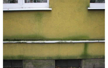 Jak chronić elewację przed zniszczeniami i korozją biologiczną?