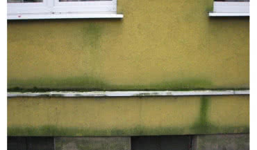 Jak chronić elewację przed zniszczeniami i korozją biologiczną?