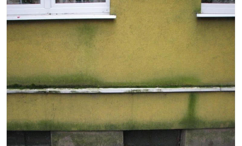 Jak chronić elewację przed zniszczeniami i korozją biologiczną?