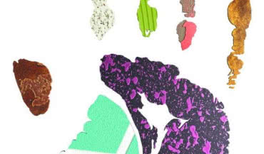 Design Collection 14|15 Wnętrza - inicjatywa Sto-Ispo