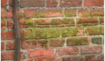 StoPrim Fungal C - sposób Sto na ochronę elewacji