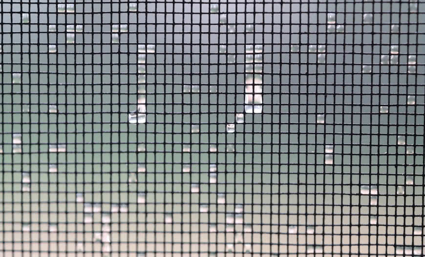 Moskitiery - komfort bez much i komarów! Wybierz idealną do swojego domu