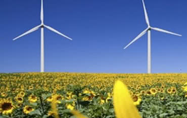 REECO Poland stawia na rozwój energii ze źródeł odnawialnych