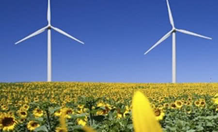 REECO Poland stawia na rozwój energii ze źródeł odnawialnych