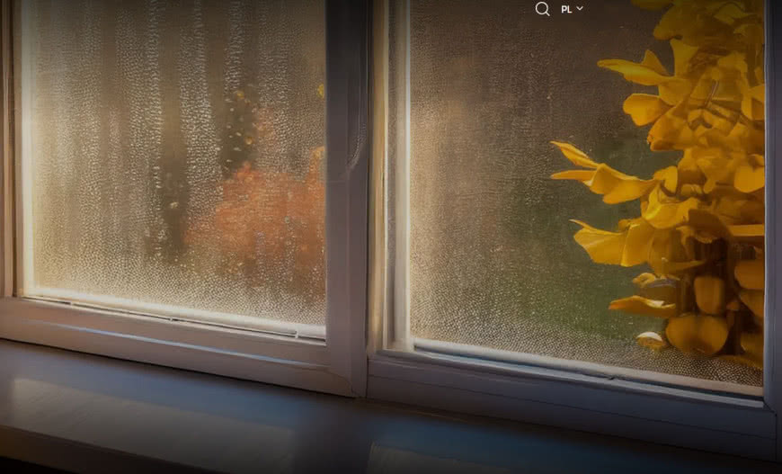 Parujące okna – jak poradzić sobie z problemem?