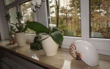 Stolarka okienna w pokoju dziecięcym