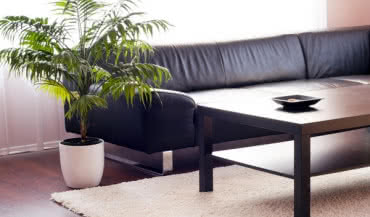 Skuteczny środek do czyszczenia dywanów