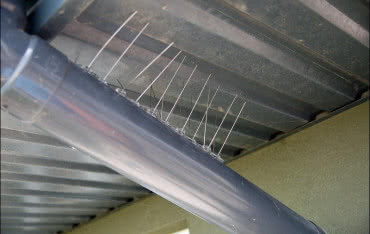 Skuteczne odstraszanie gołębi dzięki modułom BirdSystem