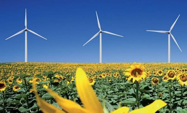 Program Międzynarodowych Targów RENEXPO® Poland