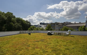 Orynnowanie dachów płaskich