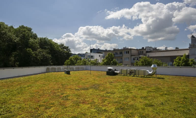 Orynnowanie dachów płaskich